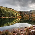 Ochg Le Petit Paisible 1-6 Personnes 3 Etoiles Cornimont