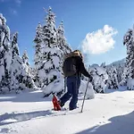 Ochg Le Petit Paisible 1-6 Personnes 3 Etoiles * Cornimont