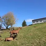 Ochg Le Petit Paisible 1-6 Personnes 3 Etoiles * Cornimont