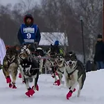 Ochg Le Petit Paisible 1-6 Personnes 3 Etoiles Cornimont