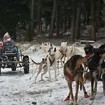 Ochg Le Petit Paisible 1-6 Personnes 3 Etoiles Cornimont