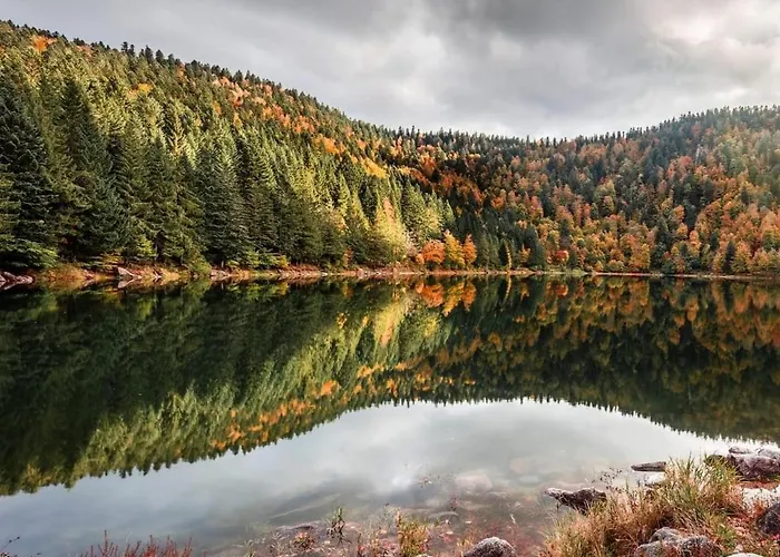 Ochg Le Petit Paisible 1-6 Personnes 3 Etoiles Cornimont