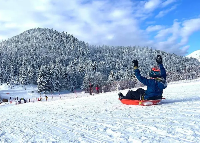 Ochg Le Petit Paisible 1-6 Personnes 3 Etoiles Cornimont