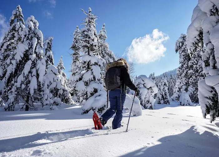 Ochg Le Petit Paisible 1-6 Personnes 3 Etoiles * Cornimont