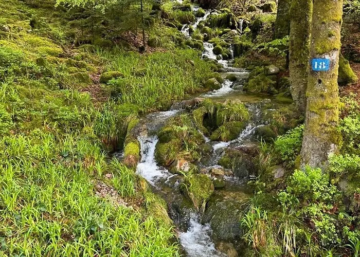 Ochg Le Petit Paisible 1-6 Personnes 3 Etoiles Apartmán