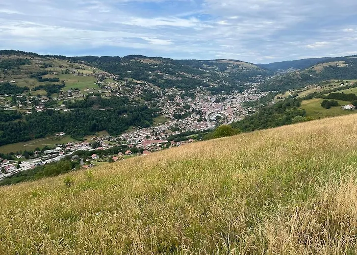 Ochg Le Petit Paisible 1-6 Personnes 3 Etoiles * Cornimont