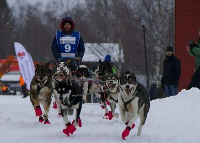 Ochg Le Petit Paisible 1-6 Personnes 3 Etoiles Cornimont