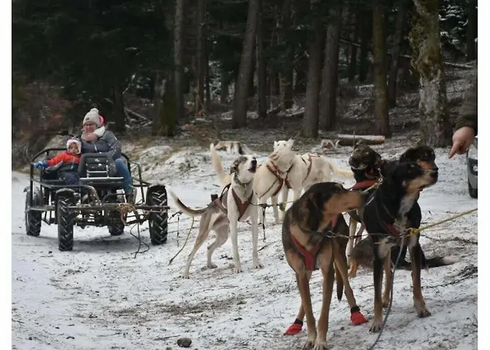 Ochg Le Petit Paisible 1-6 Personnes 3 Etoiles Cornimont