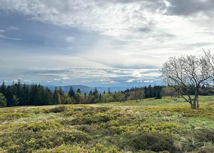 Ochg Le Petit Paisible 1-6 Personnes 3 Etoiles Apartmán